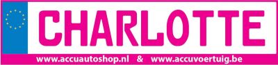Kenteken stickerset PINK op eigen naam & rijbewijs